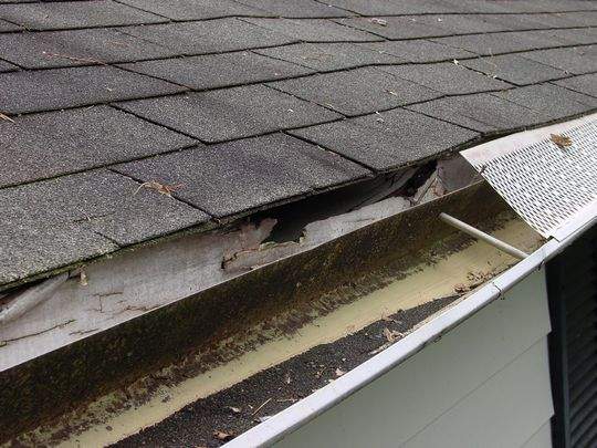 Md Roof Repair 