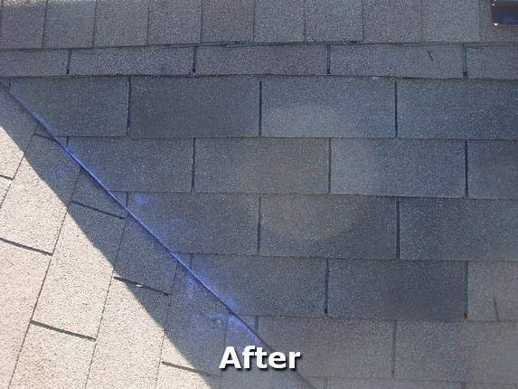 Shingles Repaired